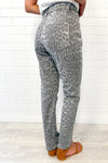 Grey Leopard