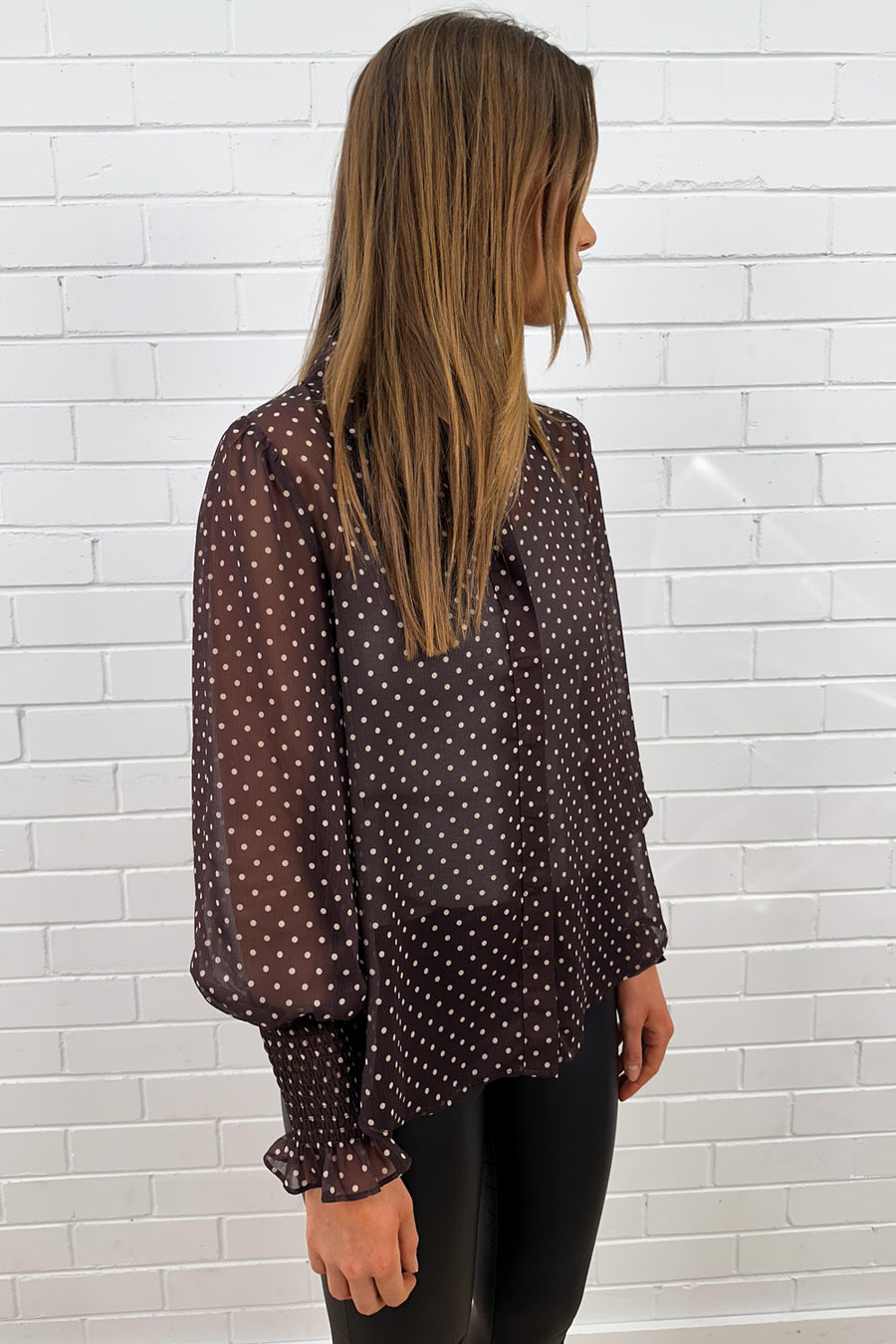 Chocolate Polka Dot