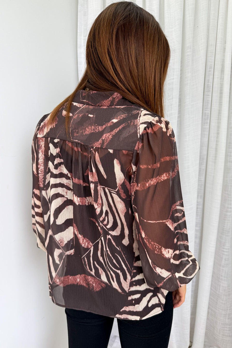 Chocolate Zebra