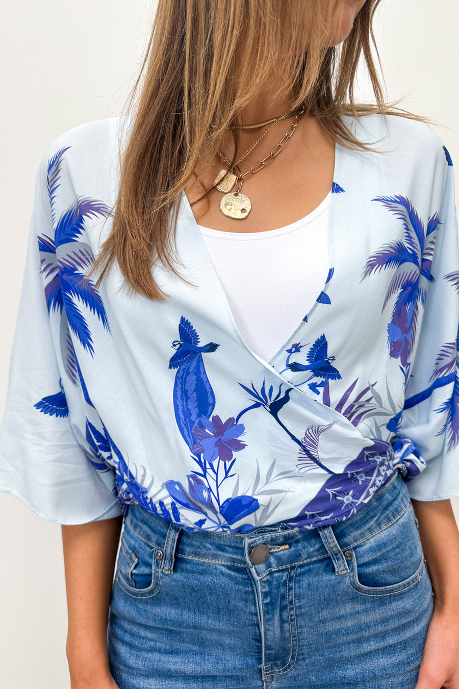 Blue Bird