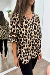 Brown Leopard
