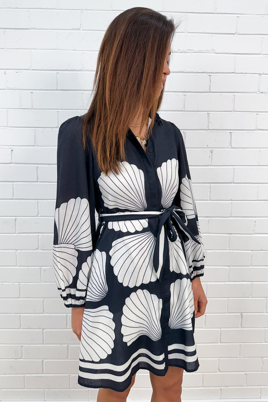 Black Shell Print