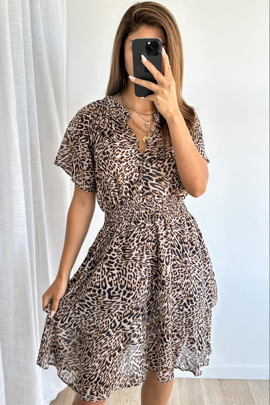 Leopard: kym