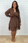 Chocolate Polka Dot