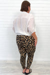 Large Leopard
