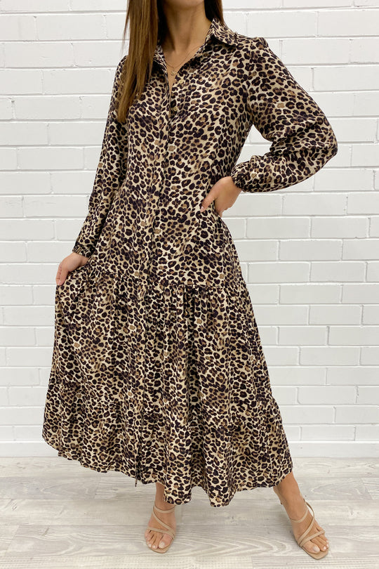 Leopard: kym