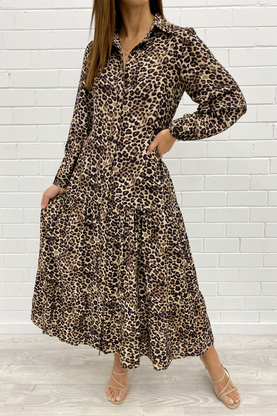 Leopard