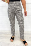 Grey Leopard