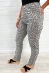 Grey Leopard