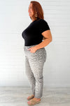 Grey Leopard
