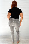 Grey Leopard