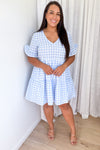 Pale Blue Gingham