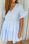 Pale Blue Gingham
