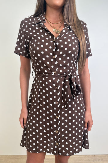 Chocolate Polka Dot: taylor