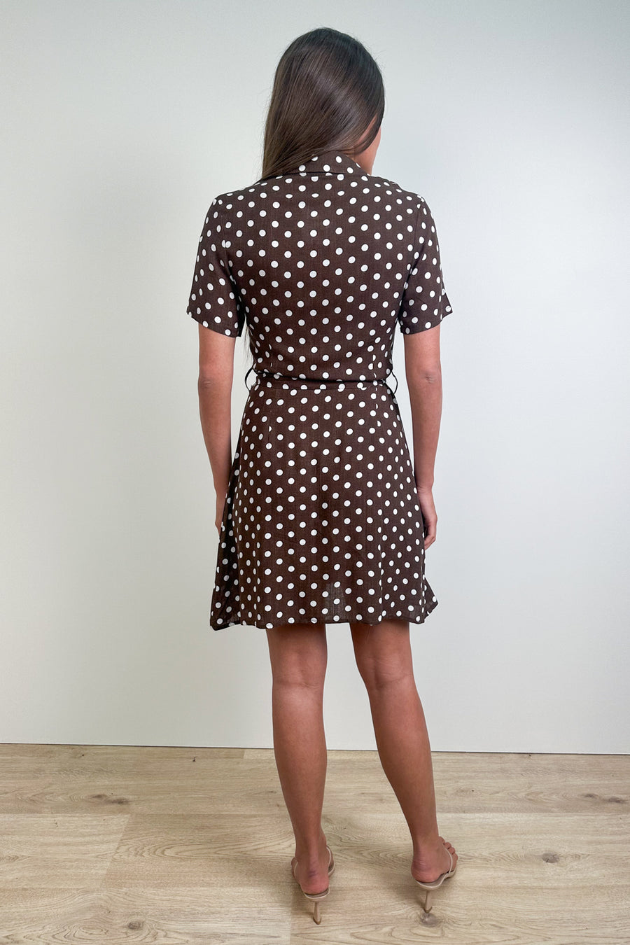 Chocolate Polka Dot