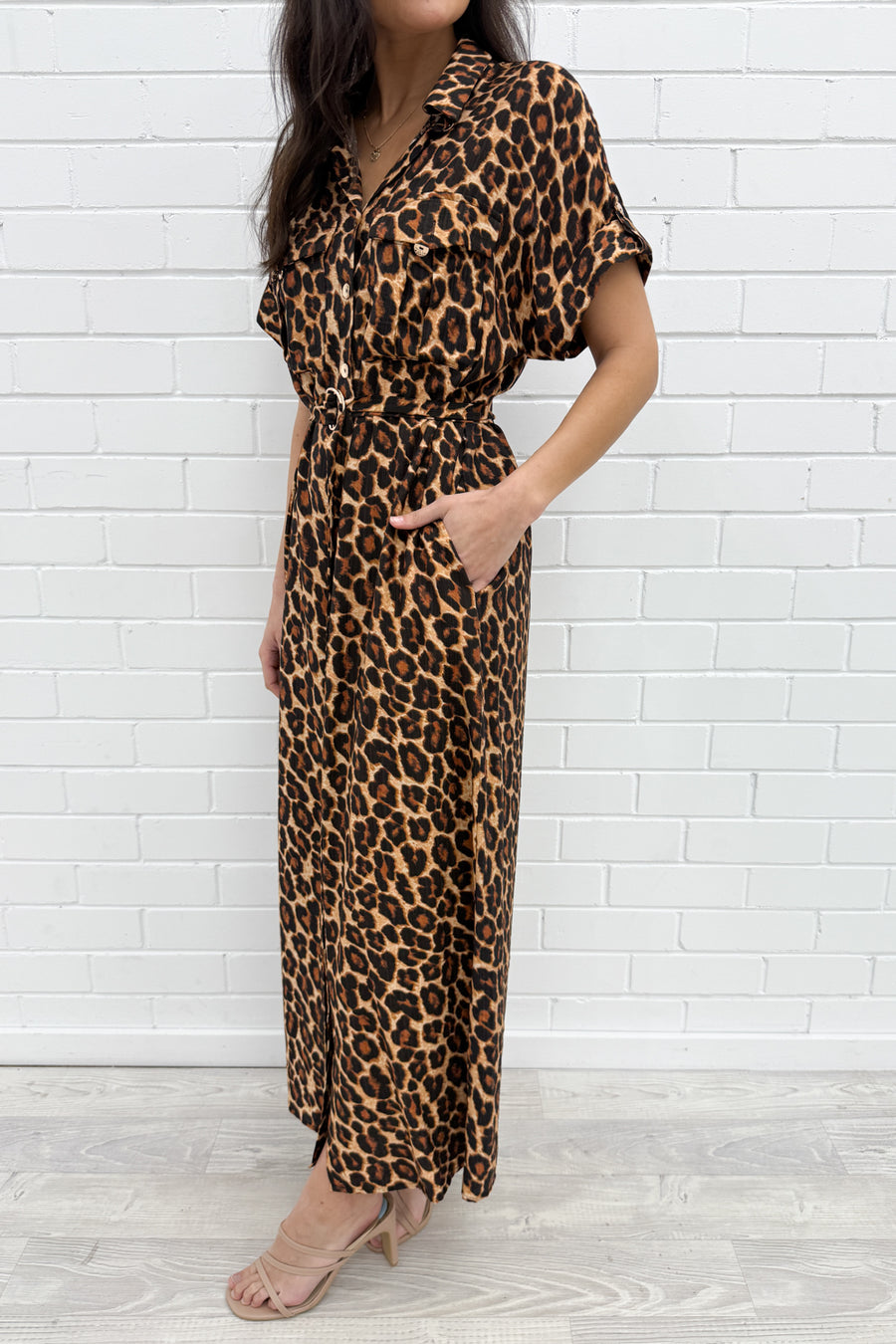 Leopard