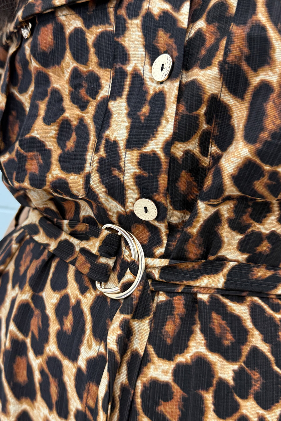 Leopard