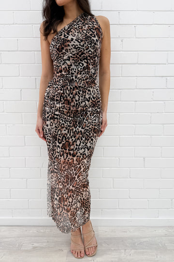 Leopard: kate