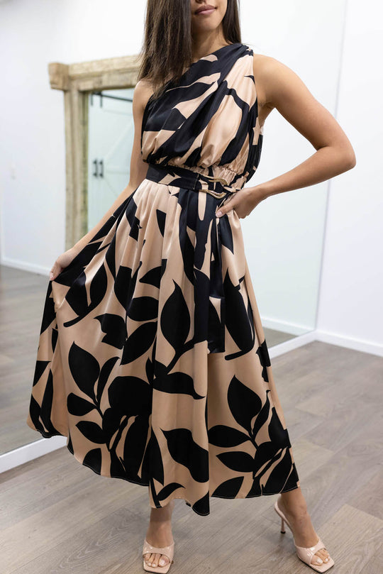 Black Camel: kym