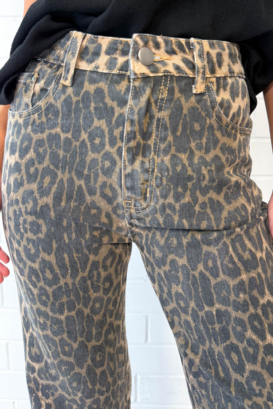 Leopard