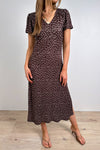 Chocolate Dotty