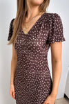 Chocolate Dotty