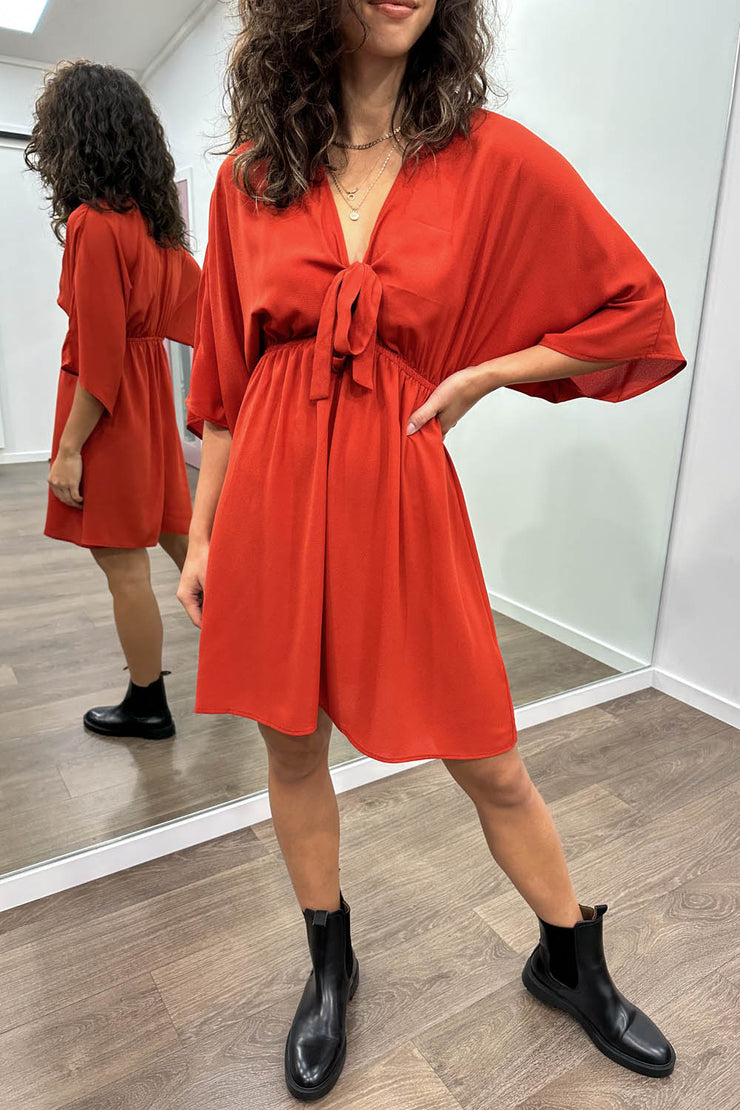 Nique Dress