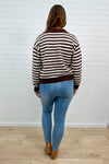 Chocolate Cream Stripe