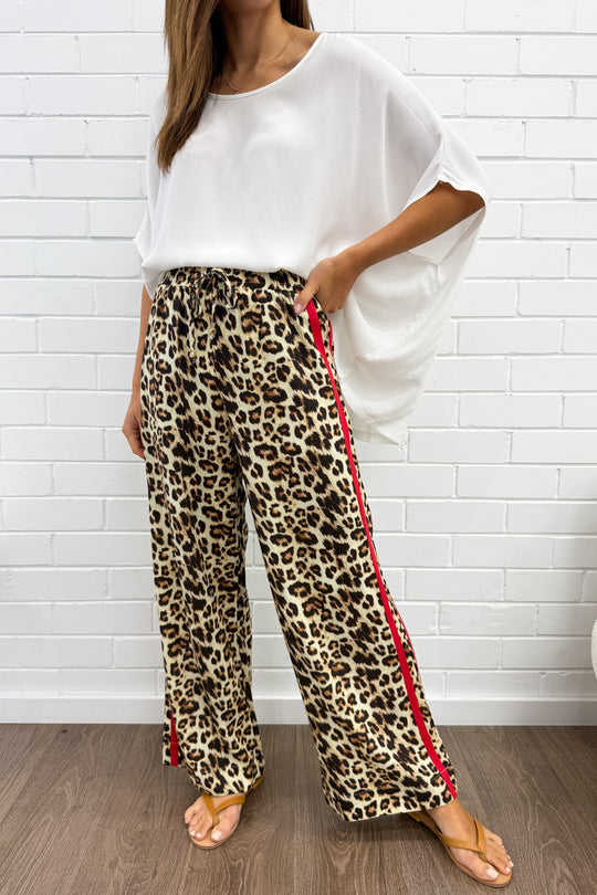 Leopard: kym