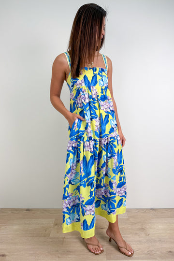 Blue Yellow Leaf: kym