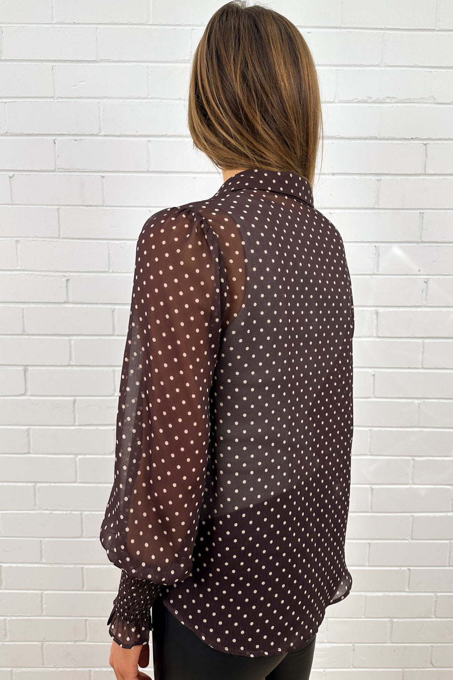 Chocolate Polka Dot