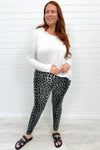 Grey Leopard