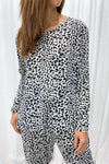 Snow Leopard