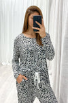 Snow Leopard