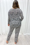 Snow Leopard