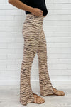 Beige Zebra