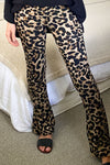 Large Leopard