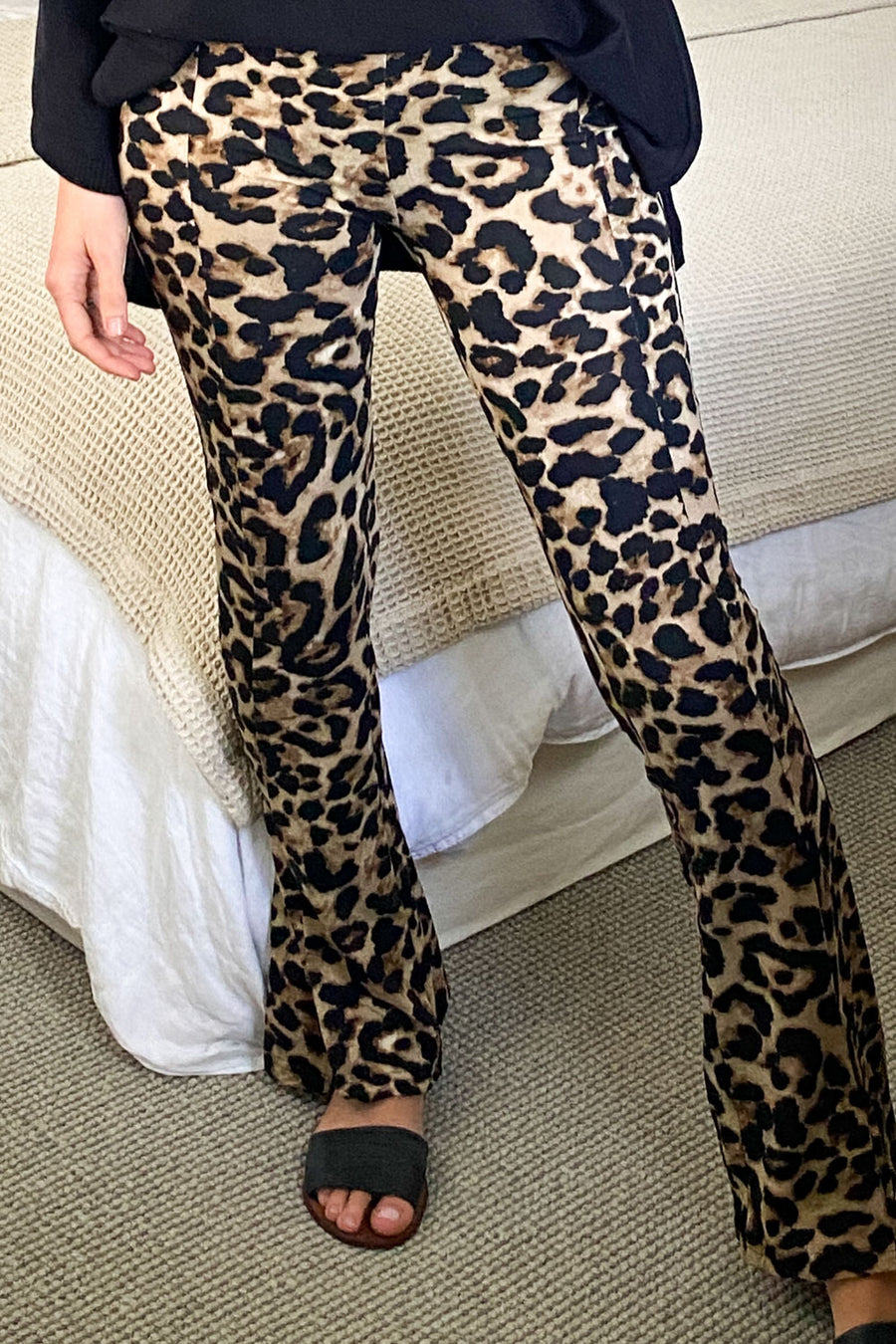 Large Leopard