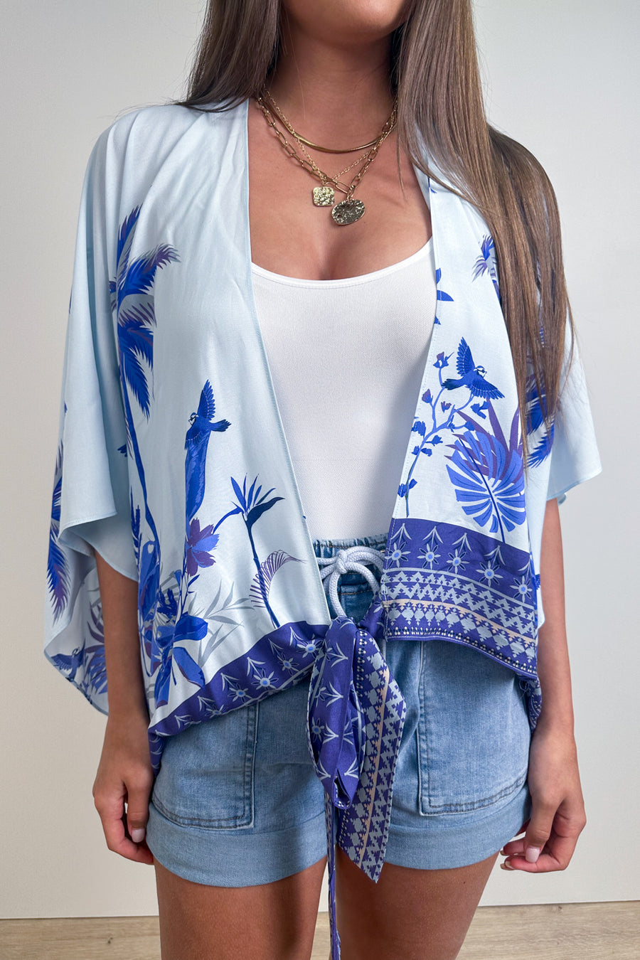 Blue Bird