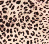 leopard print
