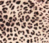 leopard print