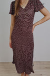 Chocolate Dotty
