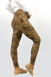 Wild Leopard