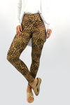 Wild Leopard