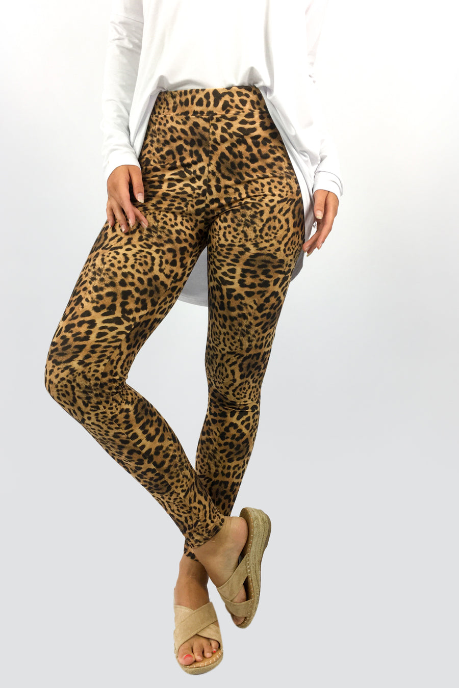 Wild Leopard